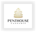 Buy Penthouse  marijuana strains for sale at cannabis seeds outlet