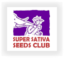 Buy Super Sativa Seed Club  marijuana strains for sale at cannabis seeds outlet