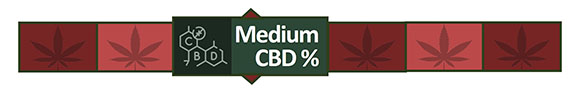 Medium