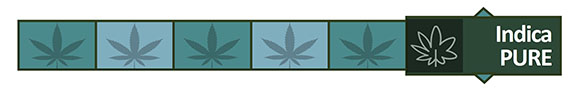 Strain