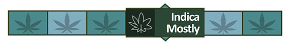 Strain