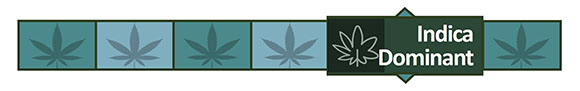 Strain