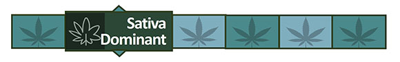Strain