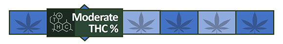 Medium