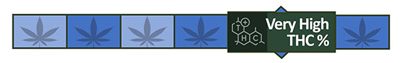 Potent