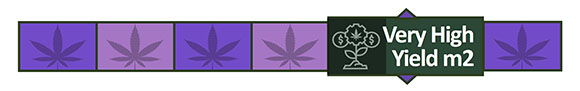 High