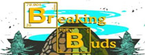 Breaking Buds Cannabis Seeds Bank Discontinued For Sale Breaking Buds Marijuana Breeder No Longer Available to buy