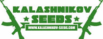Kalashnikov Cannabis Seeds Bank Discontinued For Sale Kalashnikov Marijuana Breeder No Longer Available to buy