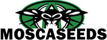 Mosca Cannabis Seeds Bank Discontinued For Sale Mosca Marijuana Breeder No Longer Available to buy