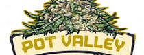 Pot Valley Cannabis Seeds Bank Discontinued For Sale Pot Valley Marijuana Breeder No Longer Available to buy