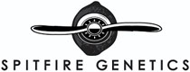 Spitfire Genetics Cannabis Seeds Bank Discontinued For Sale Spitfire Genetics Marijuana Breeder No Longer Available to buy