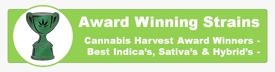 Award Winning Indica, Sativa and Hybrid Marijuana Strains