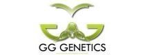 GG Genetics Seeds